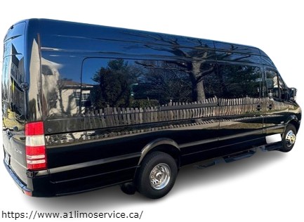 12 Passengers Van rentals